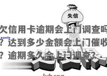 信用卡逾期上门取证罚金：金额、缴纳方式及过程详解