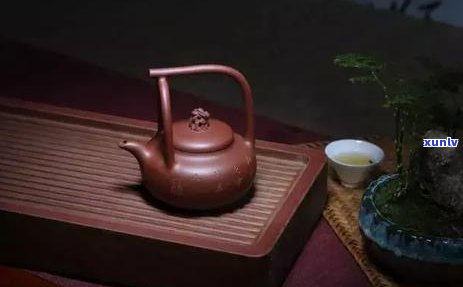 普洱茶的魅力：泡好一杯，品出人生滋味