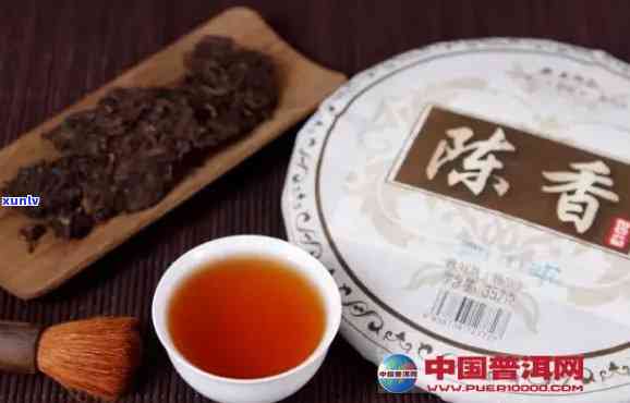 陈香普洱茶排名