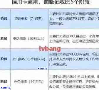 信用卡逾期后还款，如何彻底解决逾期记录问题？