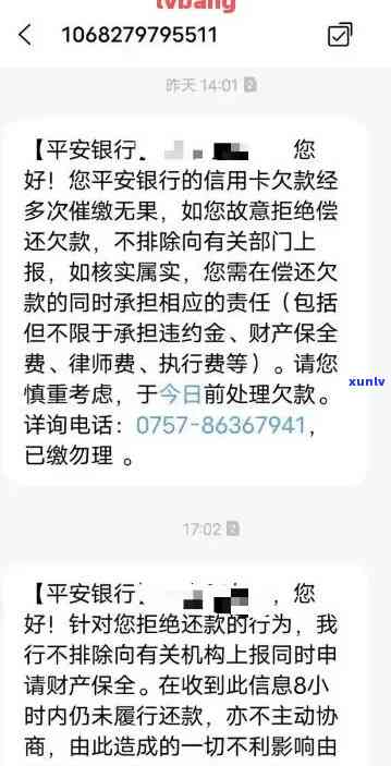 欠平安银行信用卡还不起，已经立案怎么办？