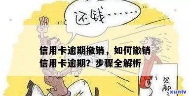 普洱茶与不锈钢杯的兼容性：是否应选择玻璃杯泡茶？