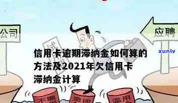 信用卡逾期费用详细解析：逾期利息、滞纳金等各项收费标准一览无余