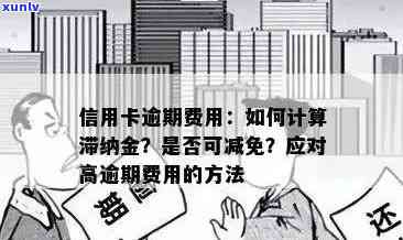 信用卡逾期费用详细解析：逾期利息、滞纳金等各项收费标准一览无余