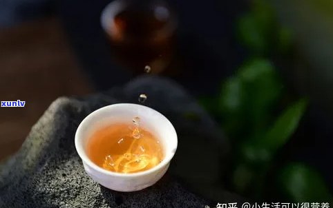 普洱茶与洋参的完美搭配： 一次味蕾的革新体验