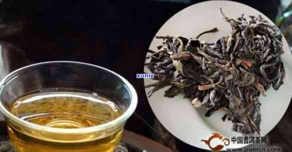 古树普洱茶的口感和香味特点是什么？