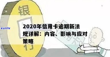 2020年银行信用卡逾期政策：理解、影响与应对策略