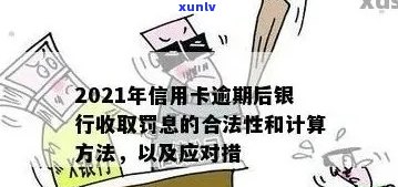 糯冰飘蓝花手镯详细介绍：材质、款式、保养与搭配指南，让你轻松选择与佩戴