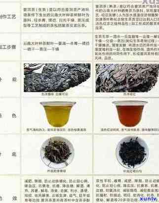 普洱茶的吸附作用及其能否清除重金属：科学解释与实际效果全面解析