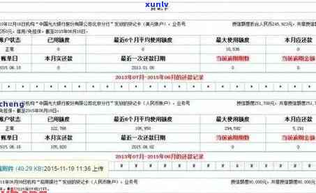 信用卡逾期记录查询系统官网：如何查找并理解您的信用卡逾期记录