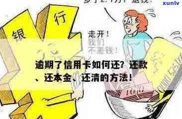 信用卡逾期本金怎么打折还款：仅还本金可行吗？