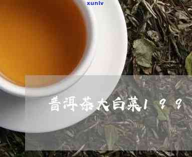 1999年大白菜普洱茶品种、产地、价格及品鉴指南 - 全面了解与比较