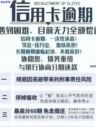 易号普洱茶：全面解析，对比评价，哪款最值得收藏？