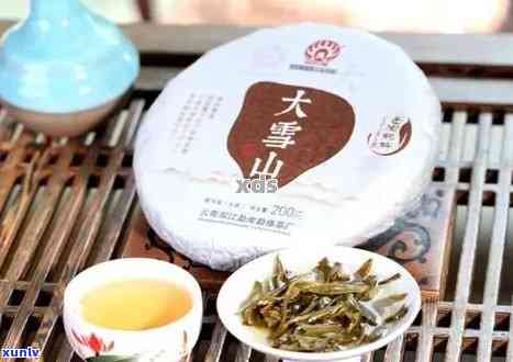 云茶之邦大雪山普洱茶价格：饼茶与生茶一览，品质与价格相匹配