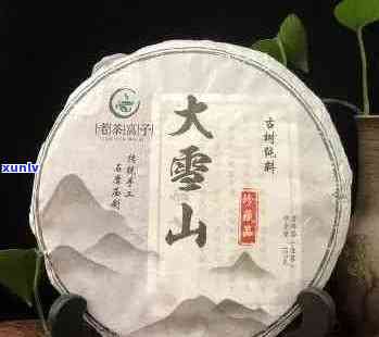 云茶之邦大雪山普洱茶价格：饼茶与生茶一览，品质与价格相匹配