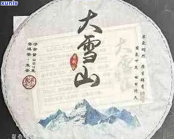 易号普洱茶：全面解析，对比评价，哪款最值得收藏？