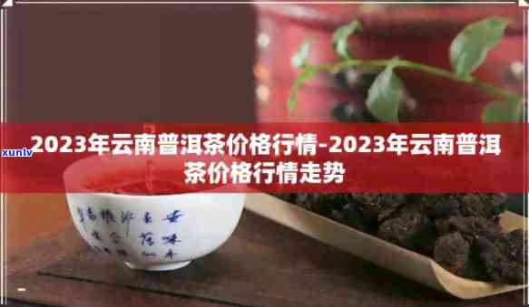 普春牌普洱茶价格表2023款