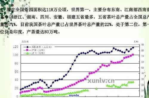 临沧市普洱茶总产量