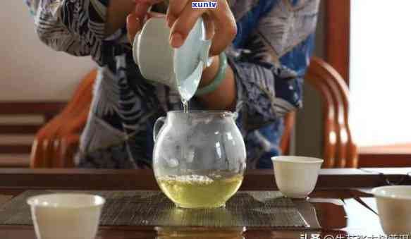 一壶最干净的普洱茶：如何挑选、冲泡、品鉴与保存，全方位解析