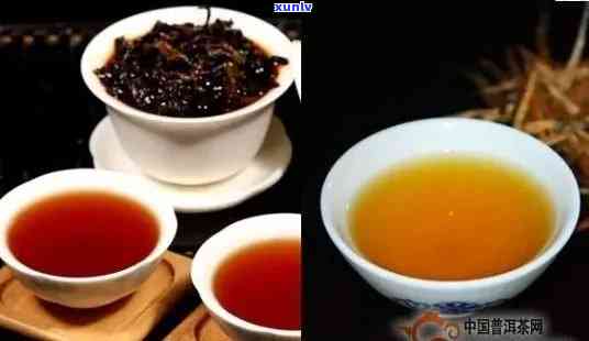 红茶、普洱茶：详细对比与区别，助你轻松选择适合自己的茶品