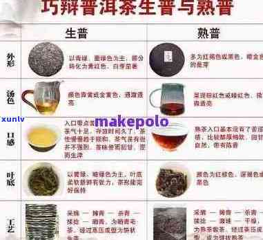 班章普洱茶：全面品鉴与科学泡法指南