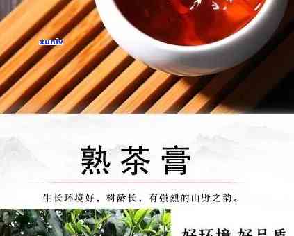 班章普洱茶膏怎么样