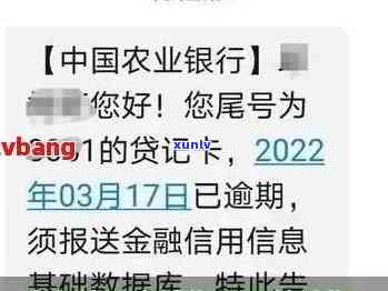农行信用卡收到逾期短信