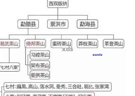 易武茶区各山头普洱茶品质对比：谁才是真正的普洱茶之王？