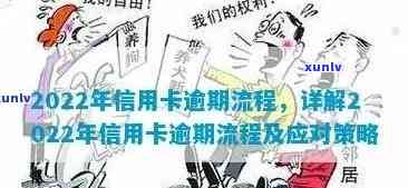 2022年信用卡逾期流程：最新标准与政策解析