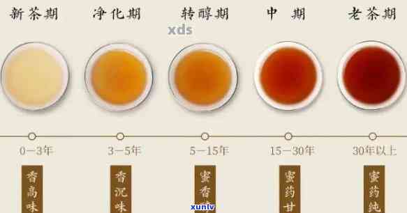 全面解析：5年普洱茶的品质、陈化过程以及口感特点，是否值得品尝？