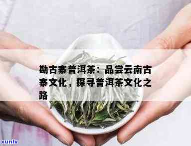 古寨春普洱茶：一款承载历与文化的云南名茶诞生记