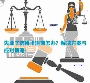 欠信用卡逾期无力偿还，刑事责任承担与应对策略