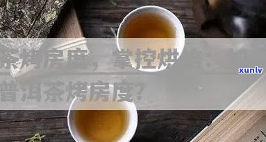 普洱茶烤房度控制：实践与影响因素探究