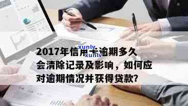 信用卡逾期还款查询技巧：如何快速查询个人信用报告中的逾期记录？