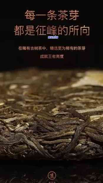 班章古树茶：口感细腻，回持久，品味非凡