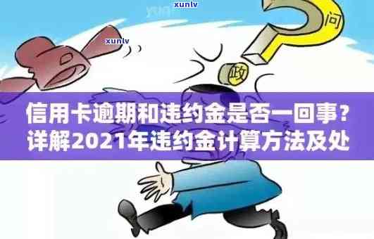 2021年信用卡逾期还款处罚细则：违约金计算方式与影响