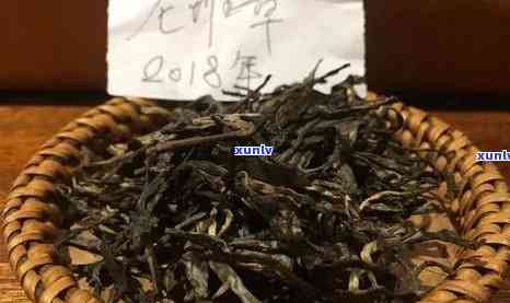 新 八角亭大叶种普洱茶：品质、口感与收藏价值分析