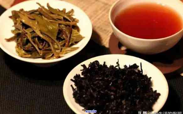 四普洱茶是第几套茶的，四香普洱茶，普洱茶四都能喝吗