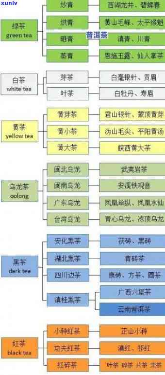 新 探索四普洱茶：它位于第几套茶叶体系中？