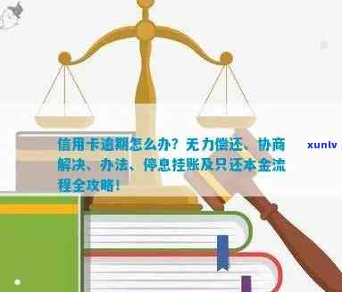 信用卡逾期：只还本金的协商流程及无力偿还解决方案