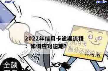 2022年信用卡逾期全攻略：如何处理、影响与解决方案一览无余