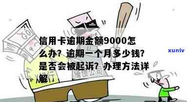 信用卡9000元逾期多久会被起诉：逾期一年利息多少，一天要还多少？