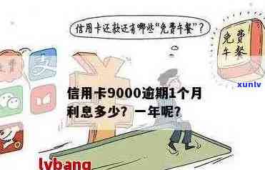 信用卡9000元逾期多久会被起诉：逾期一年利息多少，一天要还多少？