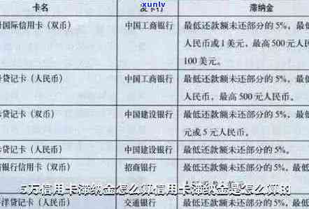 信用卡逾期还款策略：如何计算利息和罚款？