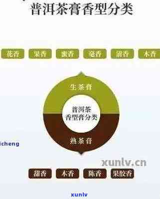 60元一斤的普洱茶：品质、产地、种类与口感全面解析