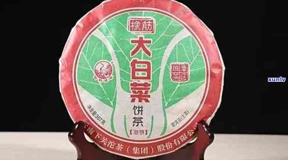 大益大白菜生态茶：品种特点、 *** 工艺与健益处全面解析