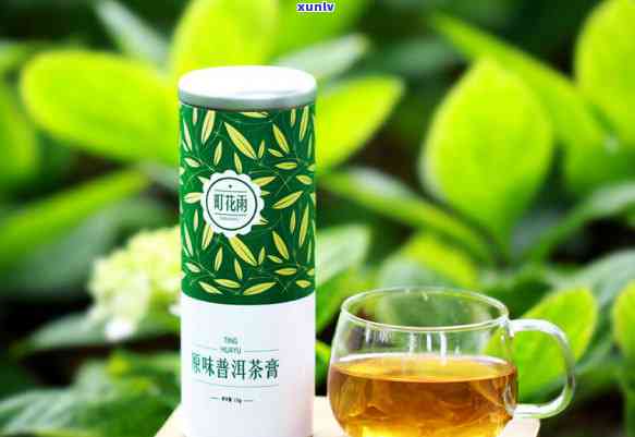 古树普洱茶膏：详细价格表与品质对比分析