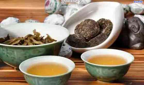 七年陈普洱茶：保存完好的茶叶，究竟有何特别之处？如何品鉴和保养？