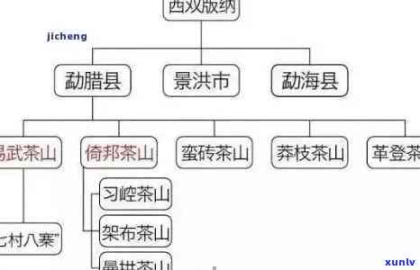 普洱茶：产地、品种、 *** 工艺等全方位解析，探究普洱茶的奥秘