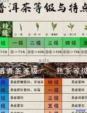 普洱茶：产地、品种、 *** 工艺等全方位解析，探究普洱茶的奥秘